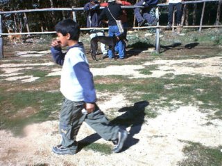 fotos (13)